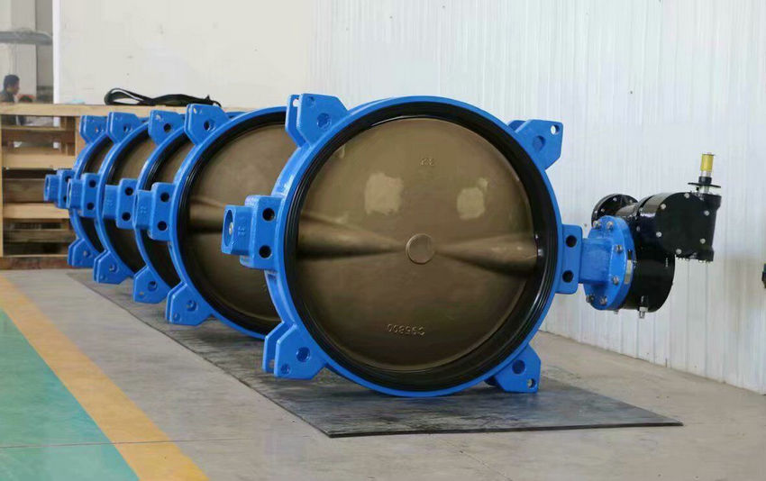 襯膠蝶閥材質(zhì)型號D71J/D371J實(shí)物圖