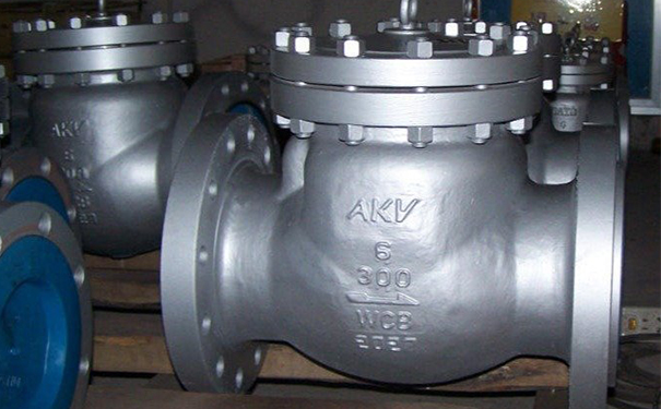 美標(biāo)止回閥H44H/H44W實(shí)物圖