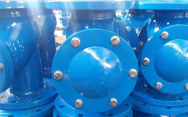 橡膠瓣止回閥SFCV,HC44X實物圖1 橡膠瓣止回閥SFCV,HC44X實物圖